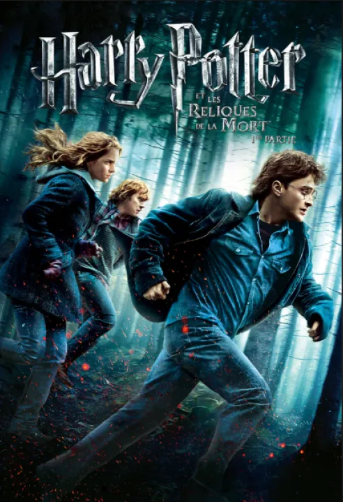 affiche harry potter